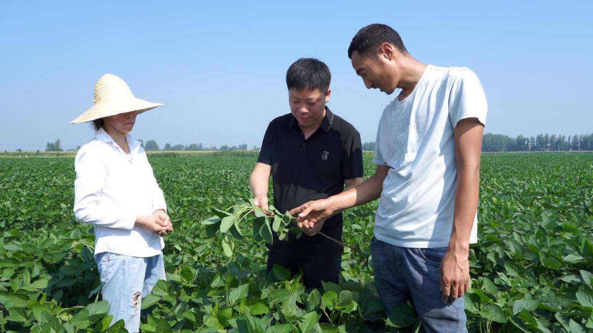 项城中心广场最新动态概览