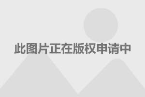 徐汇社保中心最新联系电话，轻松了解社保服务的新途径