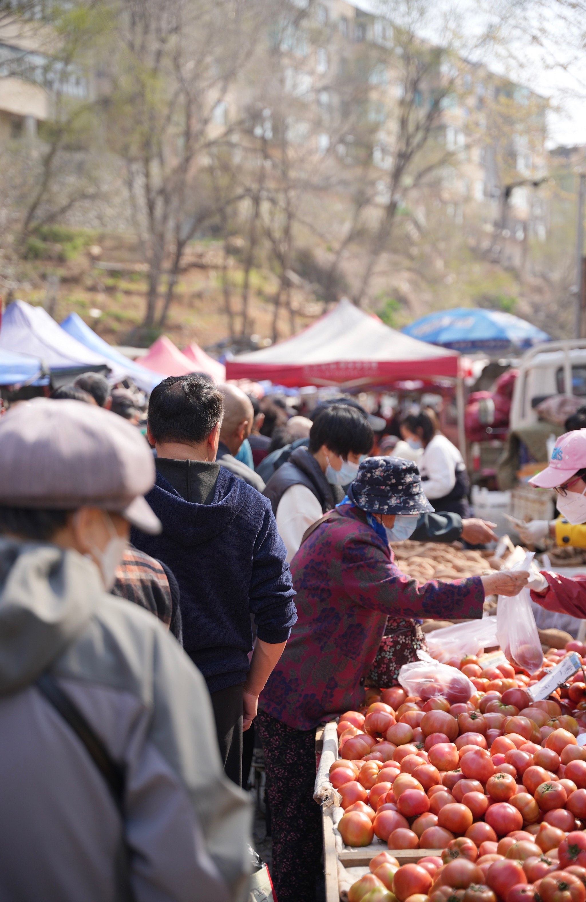 大连最新早市全景探秘