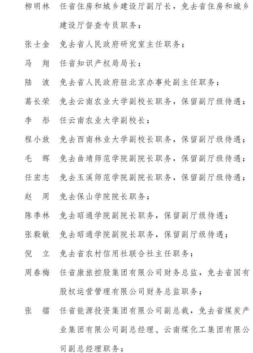 云南人才任免动态，多维人才管理的优化与发展